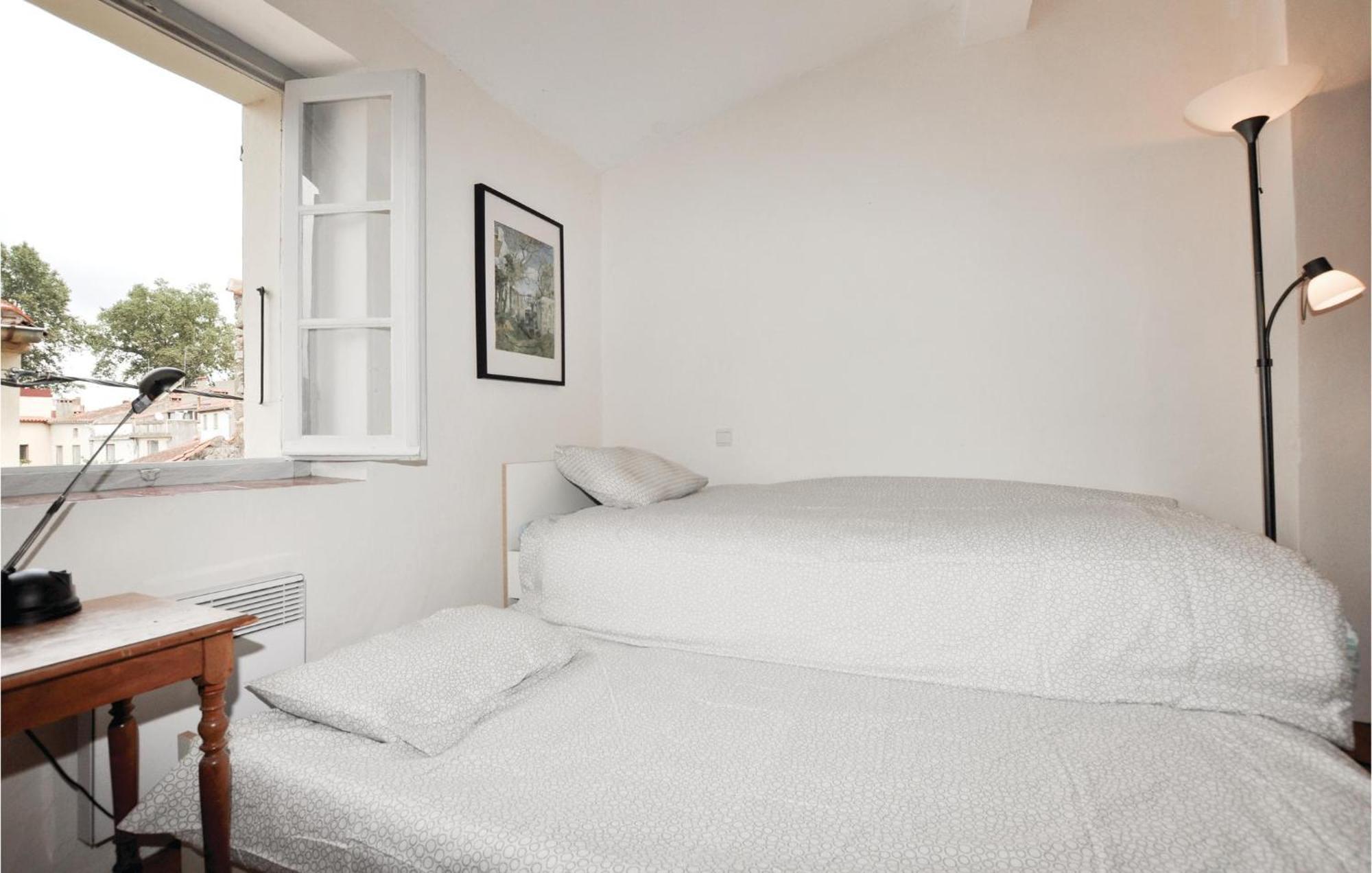 Amazing Home In Ceret With Wifi Exterior foto